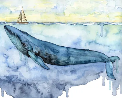 Рисунок синего кита акварелью | Watercolor blue whale drawing - YouTube