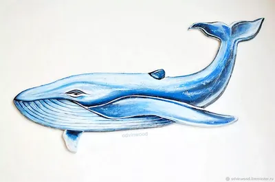 Животные кита на белом фоне красивые акварели. Иллюстрация штока -  иллюстрации насчитывающей мать, жизнь: 171592578