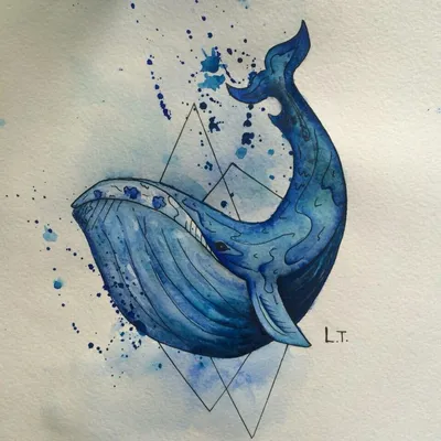 Рисунки кита для срисовки (60 фото)