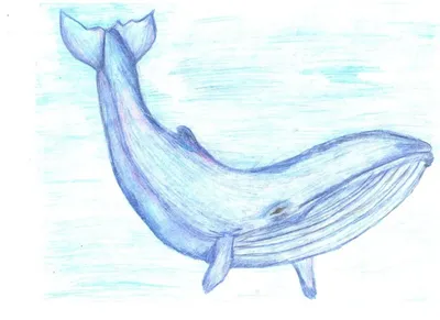 красивые картинки :: киты :: море :: tuomas korpi :: art (арт) / картинки,  гифки, прикольные комиксы, интересные статьи по теме.
