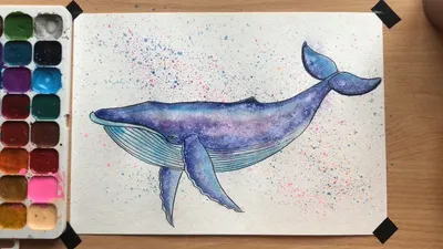 Милый кит рисунок - 51 фото