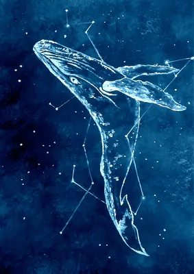 Кит, летающий в звёздном небе. Худякова Валентина | Искусство изображения  китов, Иллюстрация кита, Кит