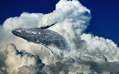 Картинки кит, прыжок, небо, облака, 3d графика - обои 1280x800, картинка  №265997
