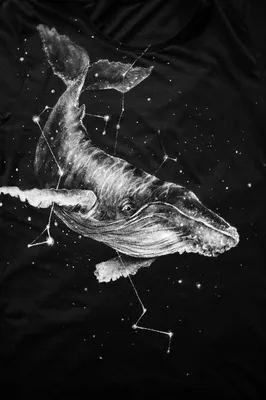 Кит, летающий в звездном небе – 3 фотографии | ВКонтакте | Искусство  изображения китов, Рисунок тушью, Иллюстрация кита