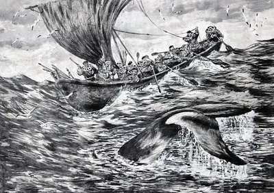 Стая косаток напала на серых китов, и это редкое зрелище попало на видео