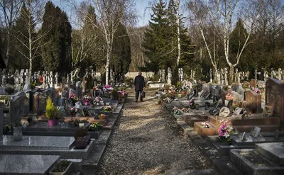 Посольство назвало неприемлемой ситуацию с русским кладбищем во Франции —  РБК