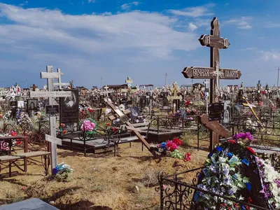 Первышов: Новое кладбище в Краснодаре оформят в европейском стиле — РБК