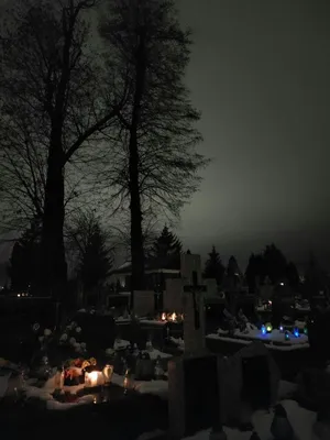 Ничего, кроме смерти. Киев готовит кладбище для ВСУ на 200 тысяч могил | В  мире | Политика | Аргументы и Факты
