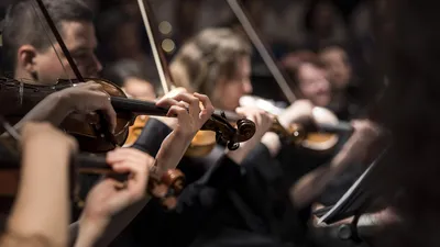 Шедевры классической музыки | билеты на концерт в Санкт-Петербурге | 03  марта 2024 19:00 | 😋 KASSIR.RU