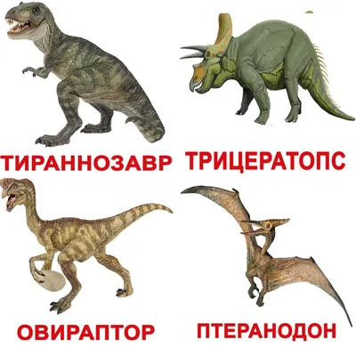 Динозавры и элементы ландшафта флоры Иллюстрация вектора - иллюстрации  насчитывающей стегозавр, изолировано: 211953395