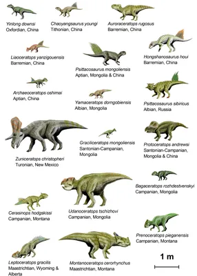Предложен фундаментальный пересмотр классификации динозавров | Пикабу
