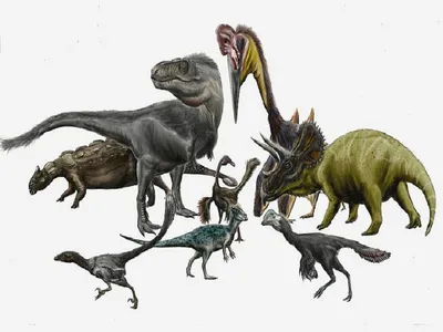 Классификация всех динозавров: традиционный и новый взгляд. Кто такие  орнитосцелиды. | Константин Кожемяк | Дзен