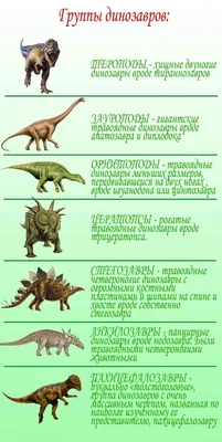 Виды динозавров | Динозавр, Динозавры, Животные