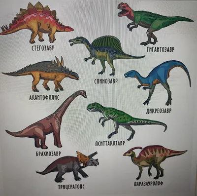 Типы динозавров иллюстрация вектора. иллюстрации насчитывающей рекс -  95318153