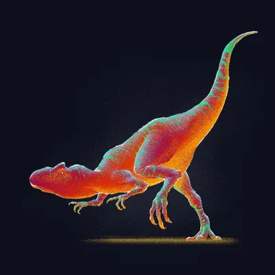 Типы Динозавров Подписали Набор Иконок Имен Плоский Стиль — стоковая  векторная графика и другие изображения на тему Динозавр - iStock