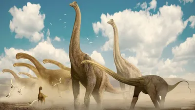 Виды динозавров. Отряды ящеротазовых и птицетазовых динозавров. Динозавры и  история жизни на земле.