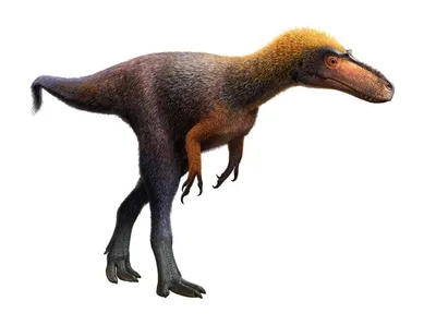 Динозавры для детей. Виды травоядных динозавров. Развивающее видео для  малышей - YouTube