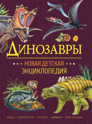 Разные виды динозавров Infographic Иллюстрация вектора - иллюстрации  насчитывающей доисторическо, хищник: 63796600