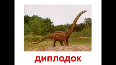 Самые удивительные динозавры, Д. Диксон (ID#1508596792), цена: 200 ₴,  купить на Prom.ua