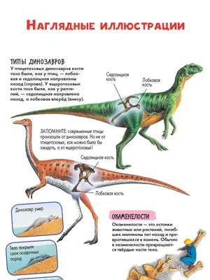 Презентация для детей по Доману. Динозавры - YouTube