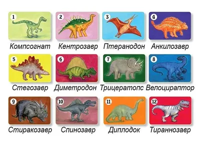 Иллюстрация 4 из 14 для Динозавры. Иллюстрированный путеводитель - Антон  Малютин | Лабиринт - книги. Источник: Лабиринт