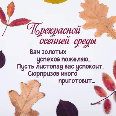 ХОРОШЕЙ ВАМ СРЕДЫ. ПОЖЕЛАНИЯ ОТЛИЧНОЙ, УДАЧНОЙ СРЕДЫ |  Поздравления,открытки,пожелания | Дзен