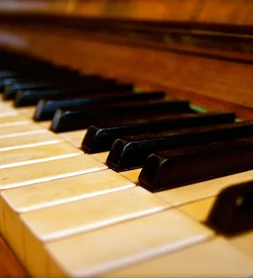 Клавиши фортепиано, ноты и рябина Stock Photo | Adobe Stock