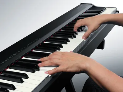 Клавиши фортепиано, ноты и ягоды рябины Stock Photo | Adobe Stock