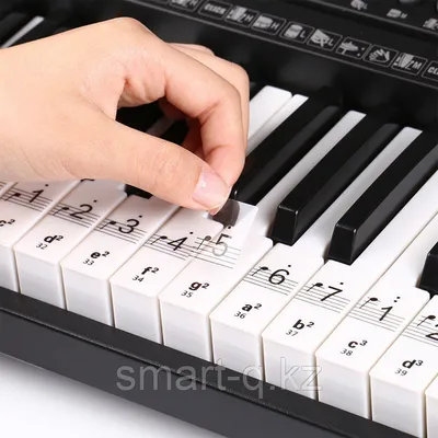 Новое деревянное Цифровое фортепиано BD Music, 88 клавиш, фортепиано MIDI и  сенсорные клавиши, фортепиано на продажу | AliExpress