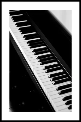 Статья, Виды клавиш пианино | Muzmart
