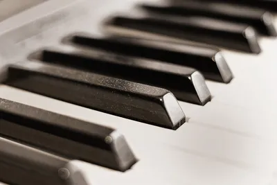 Картина \"Клавиши пианино с нанесенными нотами, черно-белое фото \" |  Интернет-магазин картин \"АртФактор\"