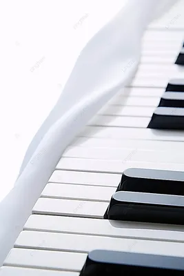 Клавиши Фортепиано — стоковая векторная графика и другие изображения на  тему Фортепиано - Фортепиано, Без людей, Белый - iStock