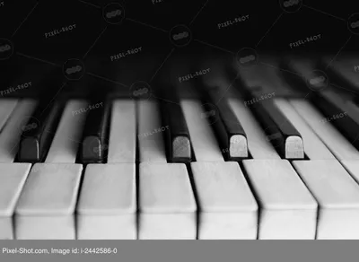 Клавиатура фортепиано | Как запомнить клавиши фортепиано - YouTube