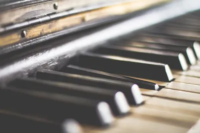Обучающие аксессуары для фортепиано, 61 клавиша, 88 клавиш, аксессуары для  пальцев, аксессуары для фортепиано, грабли, наклейки для клавиатуры,  фортепиано | AliExpress