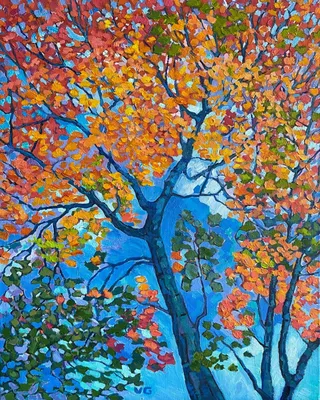 Японский Клен Дерево В Осень Красные Осенние Листья — стоковые фотографии и  другие картинки Без людей - iStock