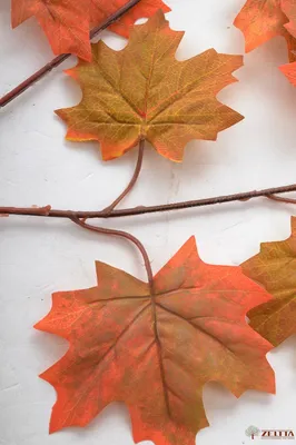 Ветка Клена Осень бархат - купить в Москве | Интернет-магазин искусственных  растений Zeltta