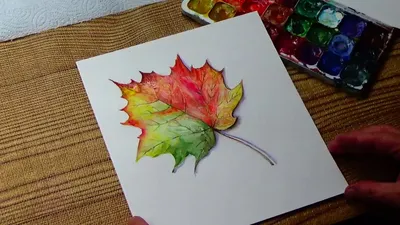 Раскраска Виноградный кленовый лист | Раскраски для детей печать онлайн