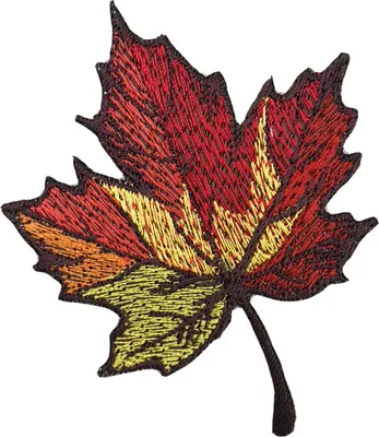Красивый осенний кленовый лист - 55 фото
