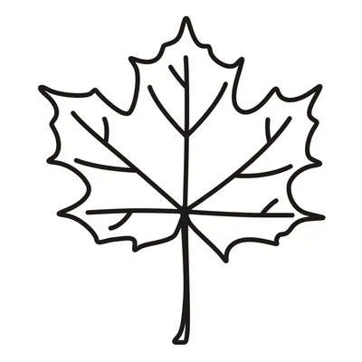 Кленовый лист на белом фоне осенью в изоляции Иллюстрация вектора  Иллюстрация вектора - иллюстрации насчитывающей красивейшее, ботаническую:  166424279