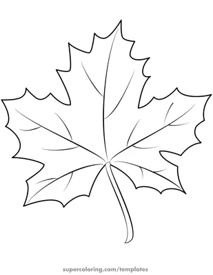 Free: Autumn Leaves Maple Leaf - Кленовый Лист Вектор Png - nohat.cc