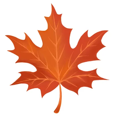 Осенний кленовый лист рисунок шаблон - 74 фото