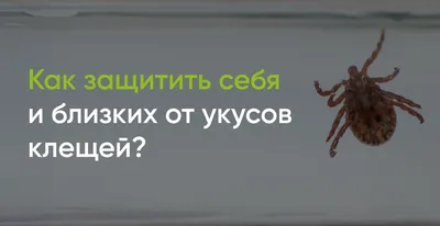 Областное государственное бюджетное учреждение здравоохранения \"Ельнинская  центральная районная больница\" :: Полезная информация :: ПАМЯТКА КЛЕЩИ  \"Маленькие, но опасные враги\"