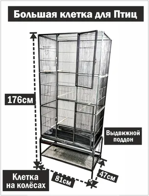 Топ-корсет на молнии, шерсть, серая клетка купить в Москве | MERE