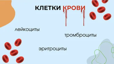 Взгляд под микроскопом, кроваво-красные клетки крови в живом теле,  иллюстрация 3d. | Премиум Фото