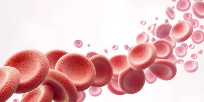 клетки крови красные иллюстрация штока. иллюстрации насчитывающей электрон  - 61290
