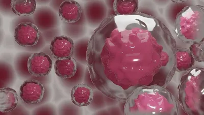 Клетки крови стоковое фото. изображение насчитывающей микрокосмический -  37086368