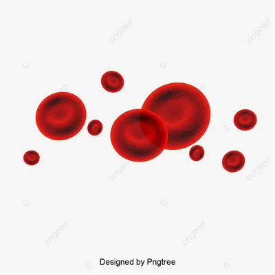 Онко Вики — Общий анализ крови