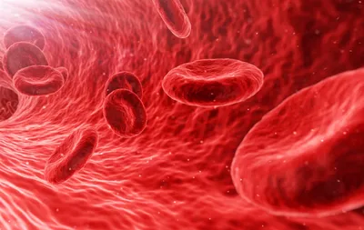 COVID-19 способен изменять клетки крови?