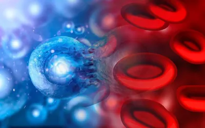 Клетки крови - ePuzzle фотоголоволомка