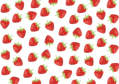 Клубника векторный рисунок, иллюстрация фруктов на розовом фоне, плакаты на  стену • плакаты обои, вегетарианец, тропический | myloview.ru